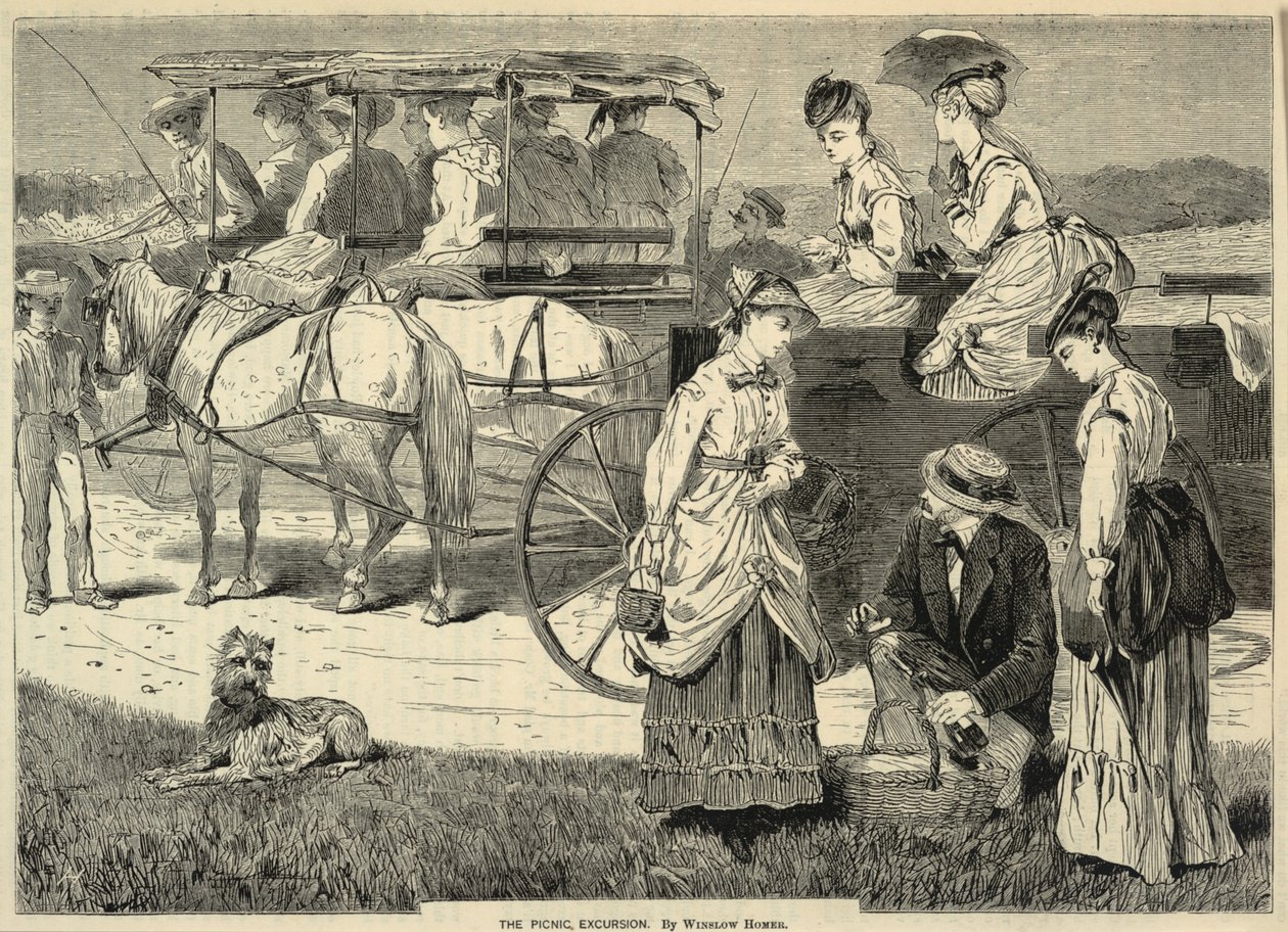 The Picnic Excursion, z Appletons