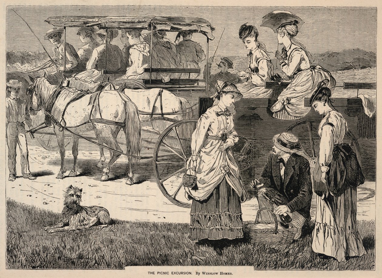 The Picnic Excursion, z Appletons
