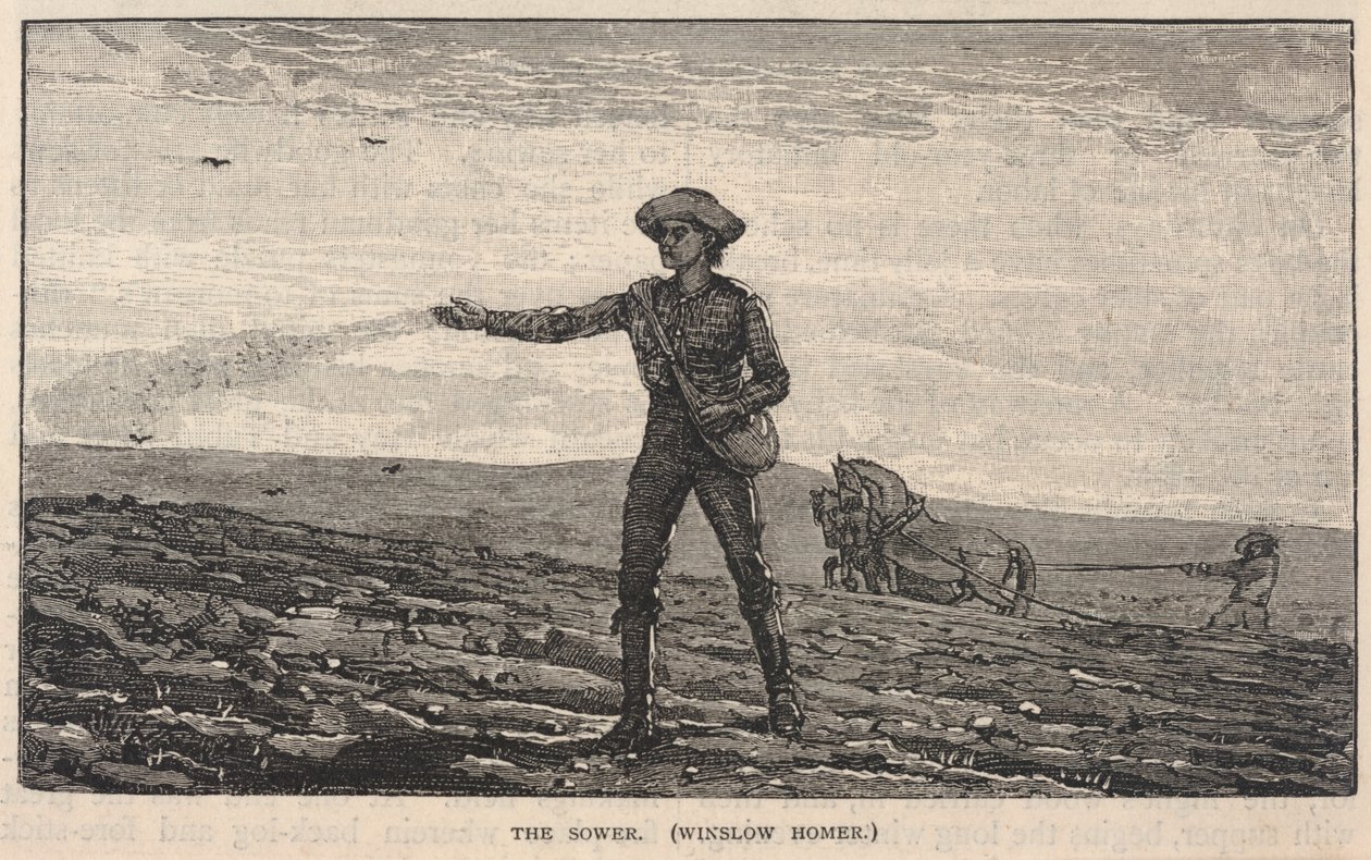 The Sower, ze Scribner