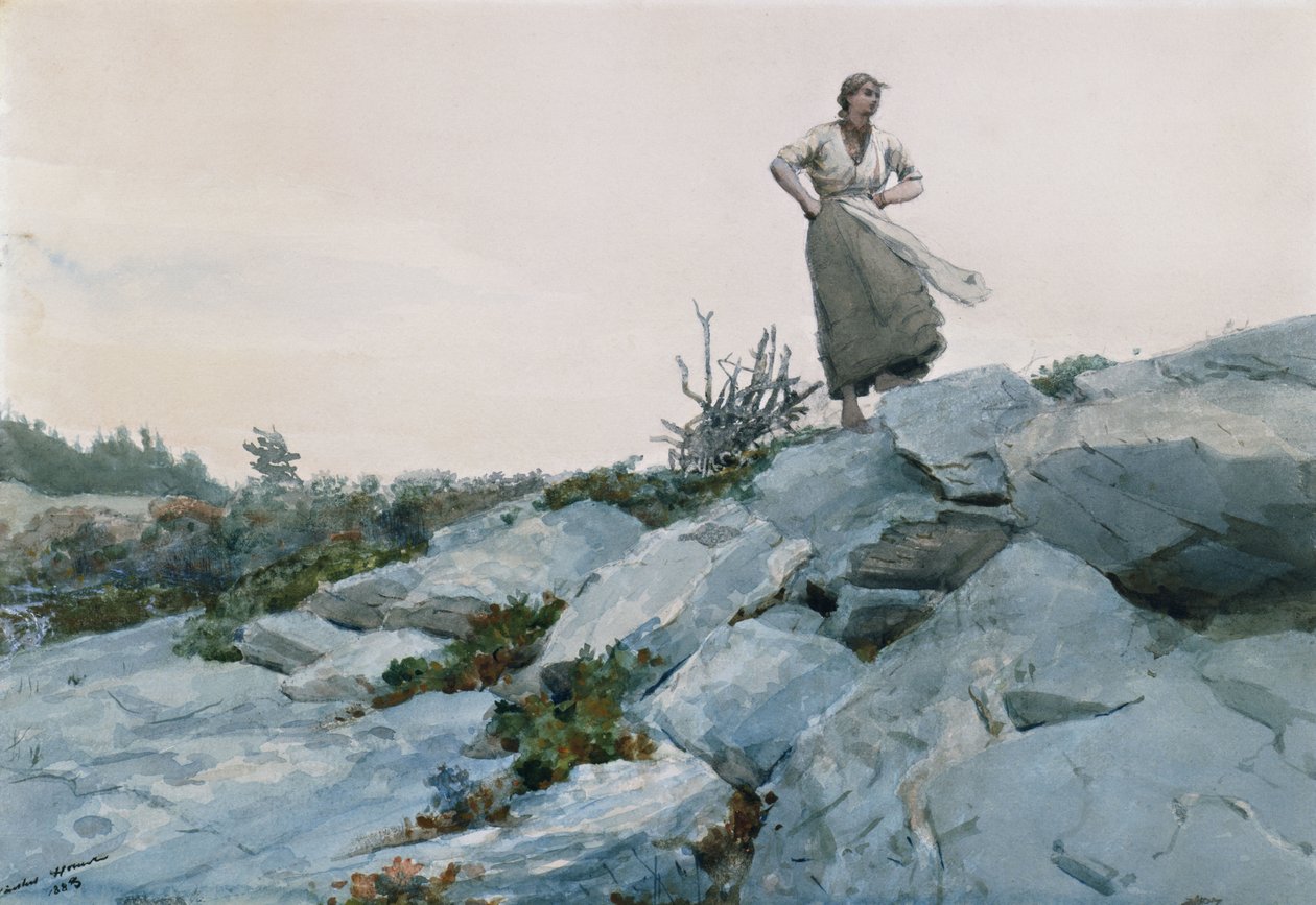 The Twigs Gatherer, 1883 od Winslow Homer