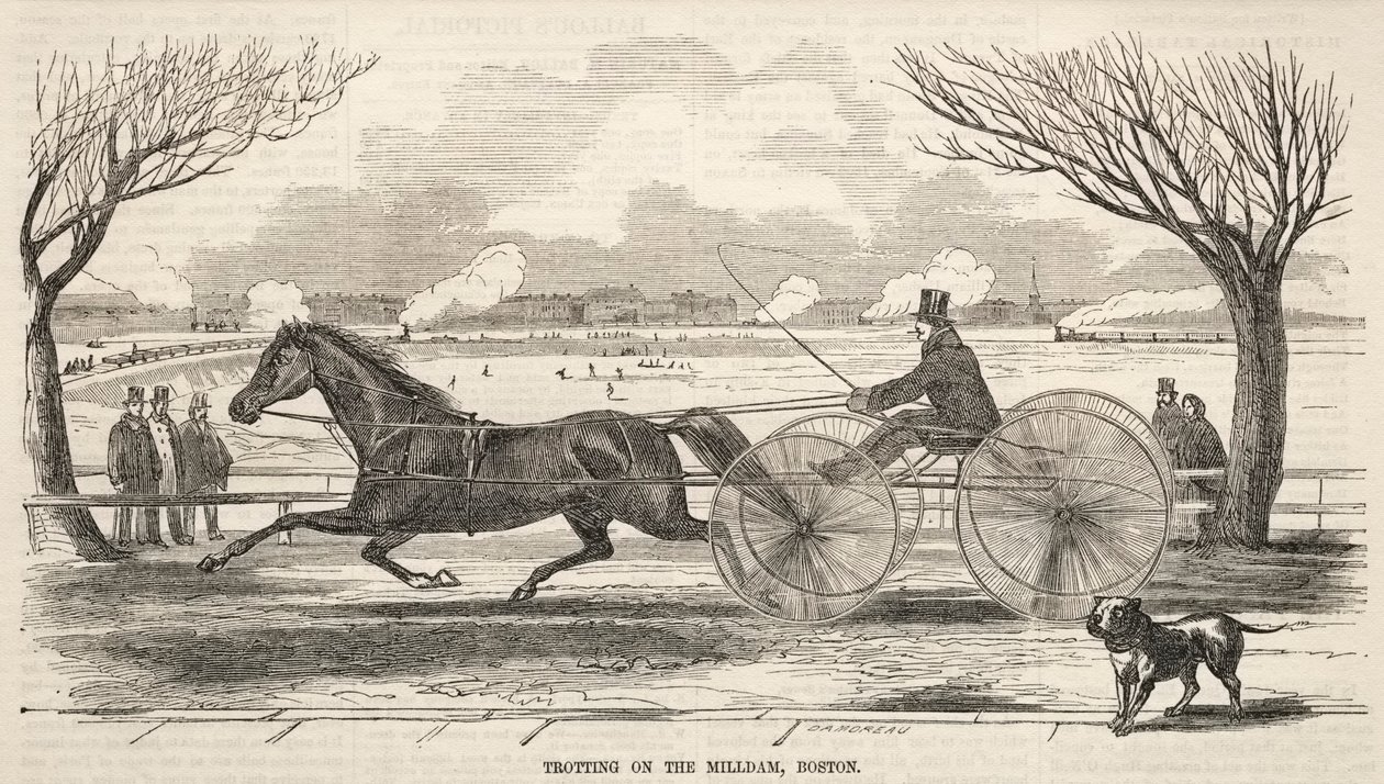 Klusání po Mlýnské přehradě, Boston od Winslow Homer