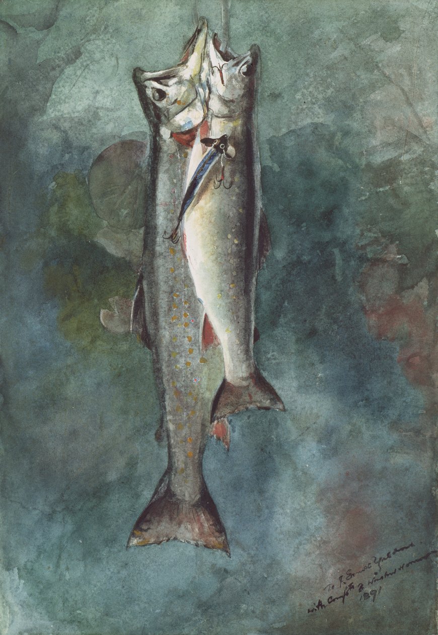 Dva pstruzi, 1891 (wc na papíře) od Winslow Homer