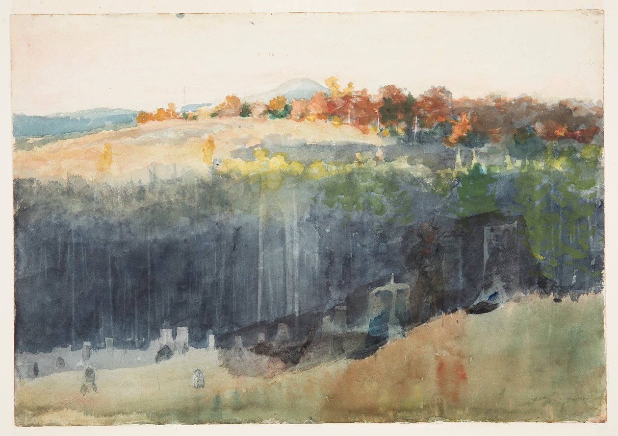 Údolí a stráně od Winslow Homer