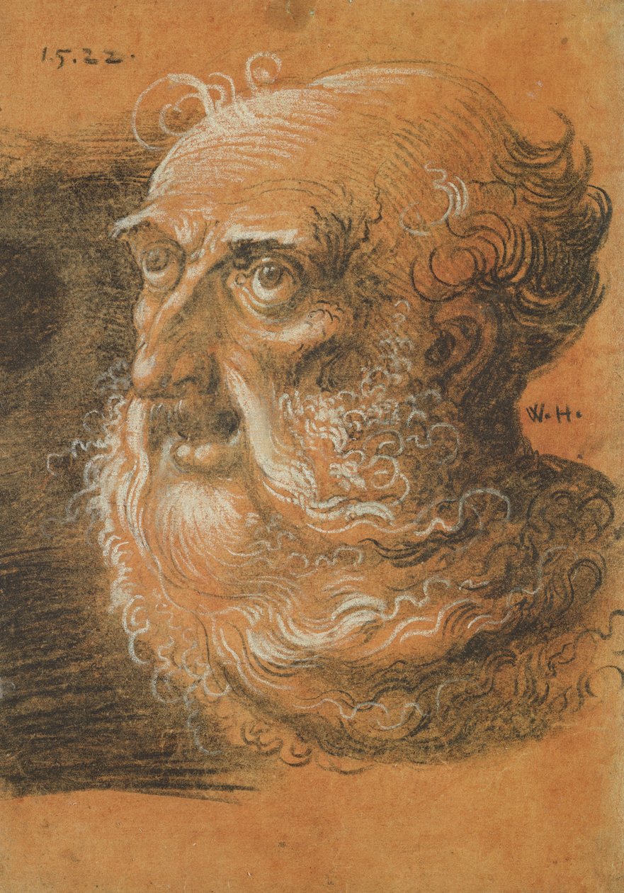 Head Study, 1522 (uhlí a bílá křída na papíře) od Wolf Huber