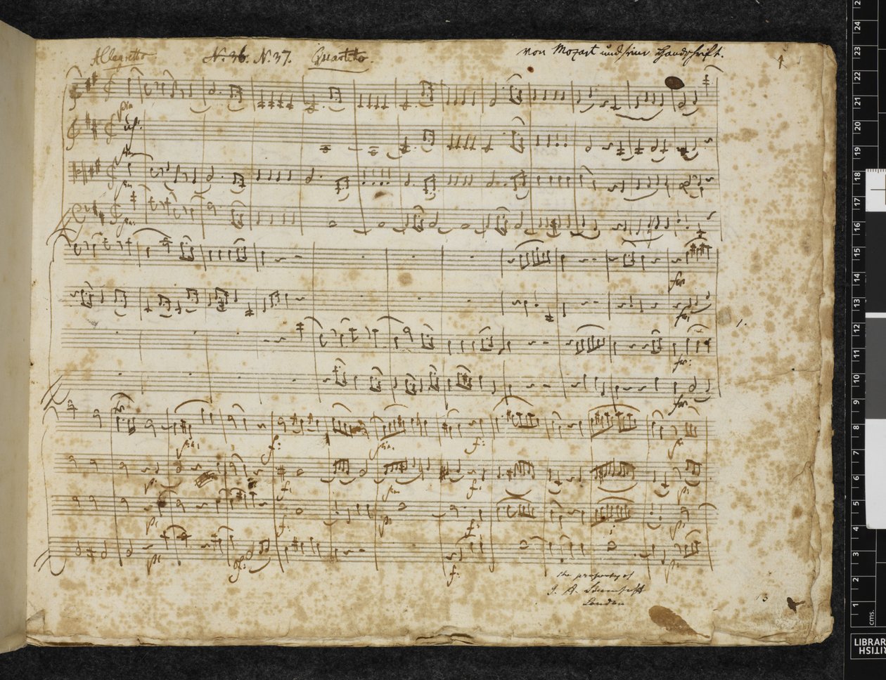 Přidejte MS 37764 f.1 Smyčcový kvartet D dur, K. 499 od Wolfgang Amadeus Mozart