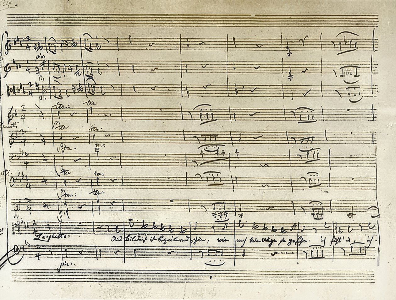 Ručně psaný začátek Taminovy ​​portrétní árie z Kouzelné flétny. Přepis poznámek. 1791 od Wolfgang Amadeus Mozart