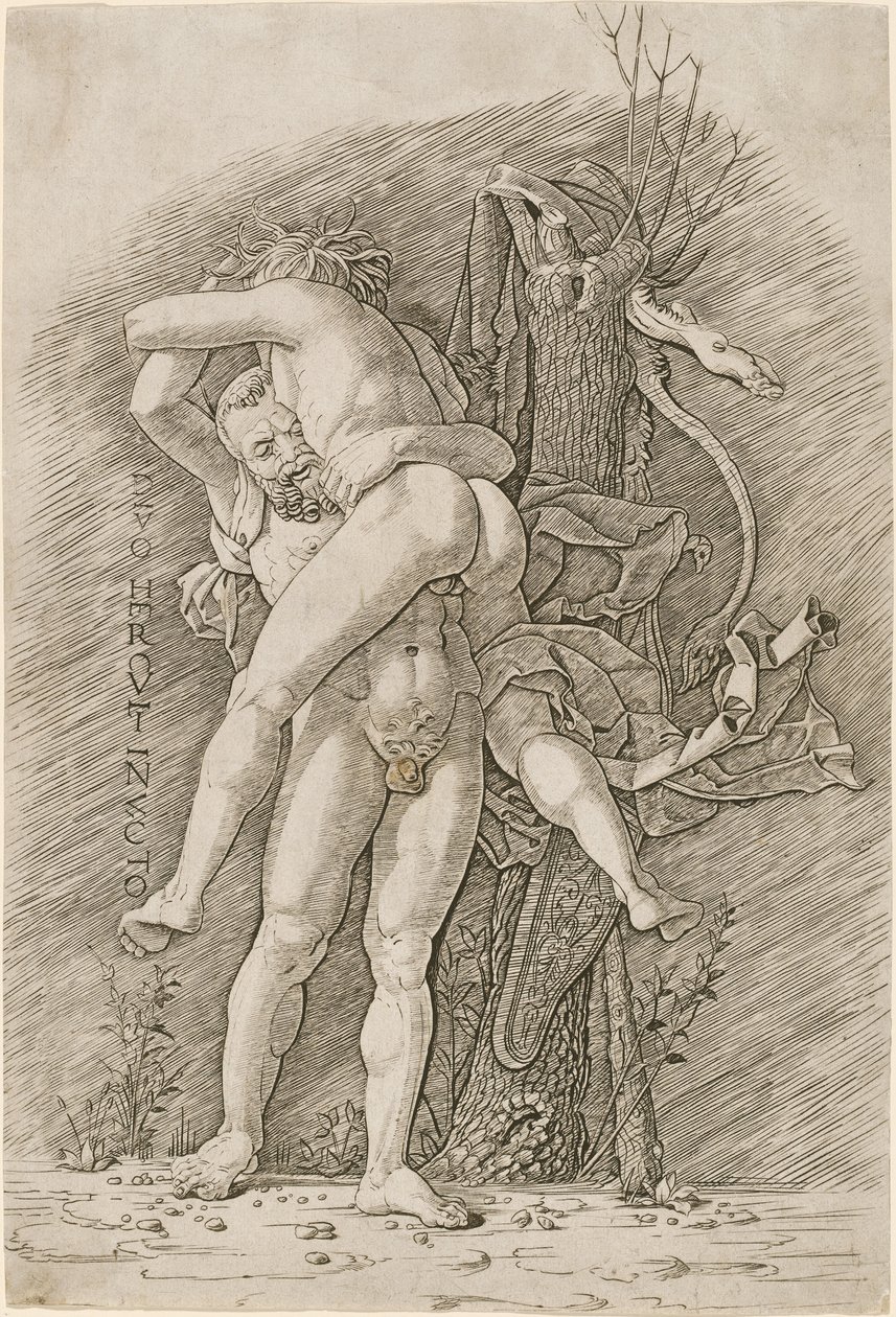 Herkules a Antaeus od Workshop of Andrea Mantegna