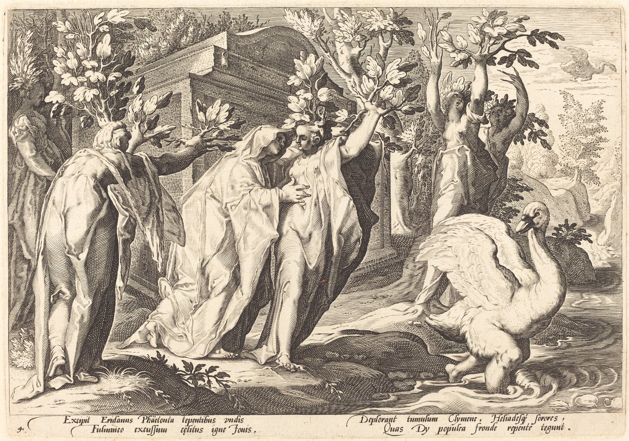 Phaetonovy sestry se změnily v topoly, Cygnus v labuť od Workshop of Hendrick Goltzius, after Hendrick Goltzius