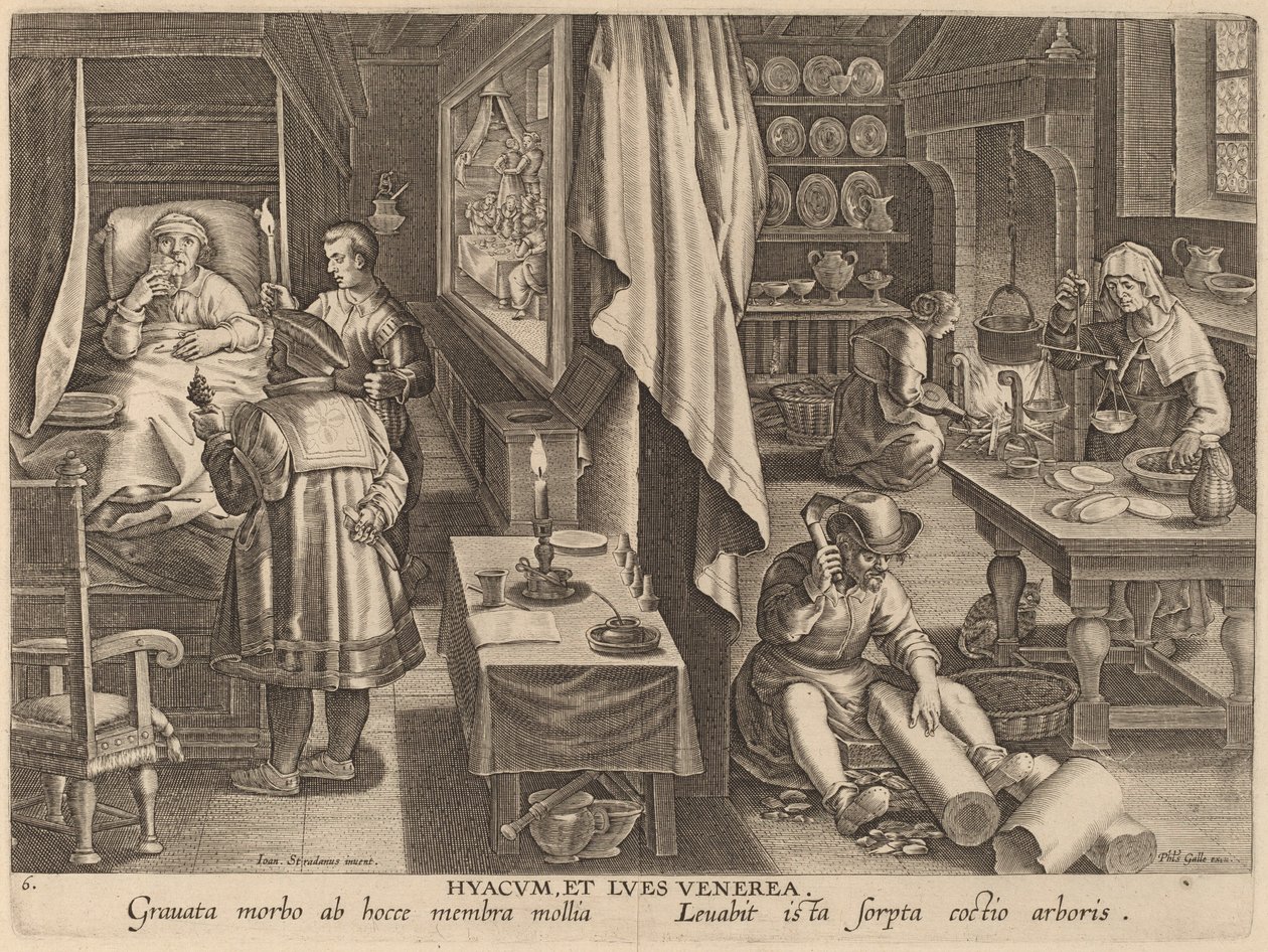 Guaiacum a pohlavní infekce od Workshop of Philip Galle after Jan van der Straet