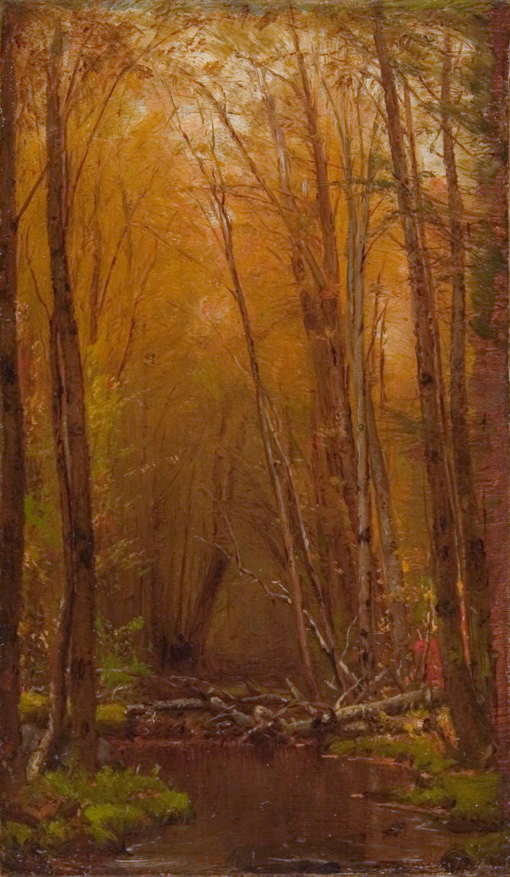 Břízy v Catskills od Worthington Whittredge