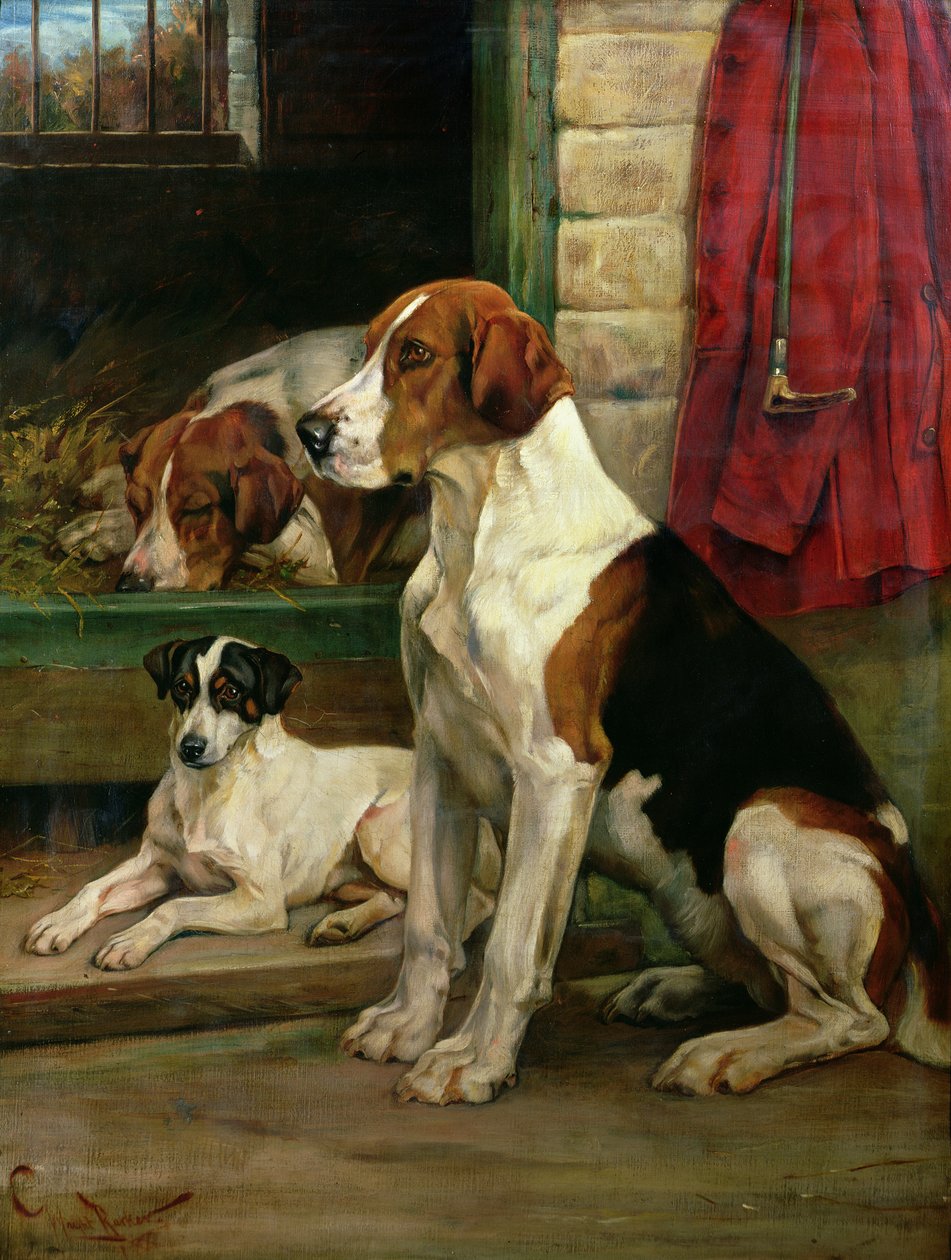 U chovatelských stanic od Wright Barker