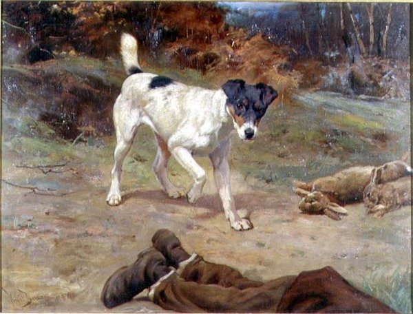 Jack Russell Králičí dírou od Wright Barker