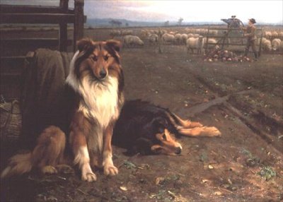 Konec dne od Wright Barker