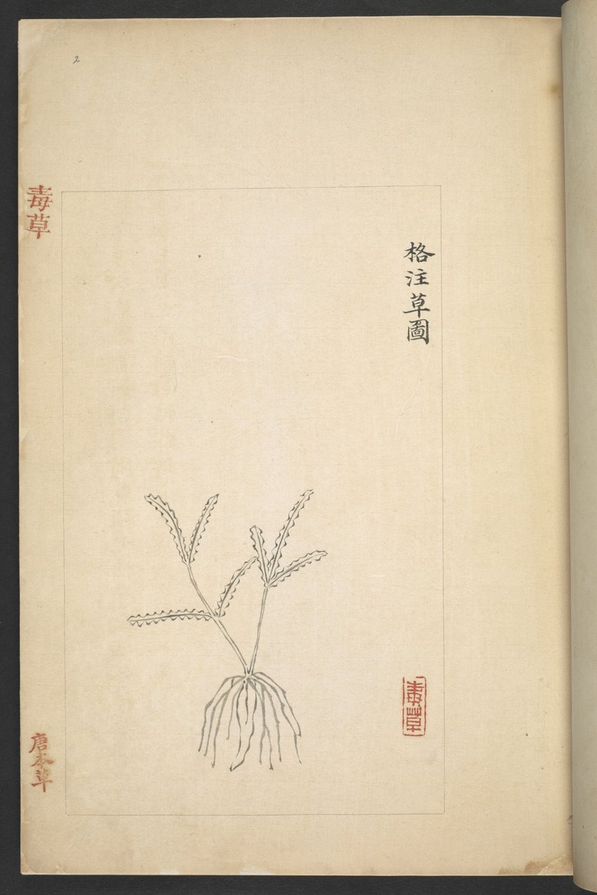 Nebo plán 13347 B f.2r od „Du Cao (jedovaté rostliny)“ (inkoust a barva na papíře) od Wu Qijun