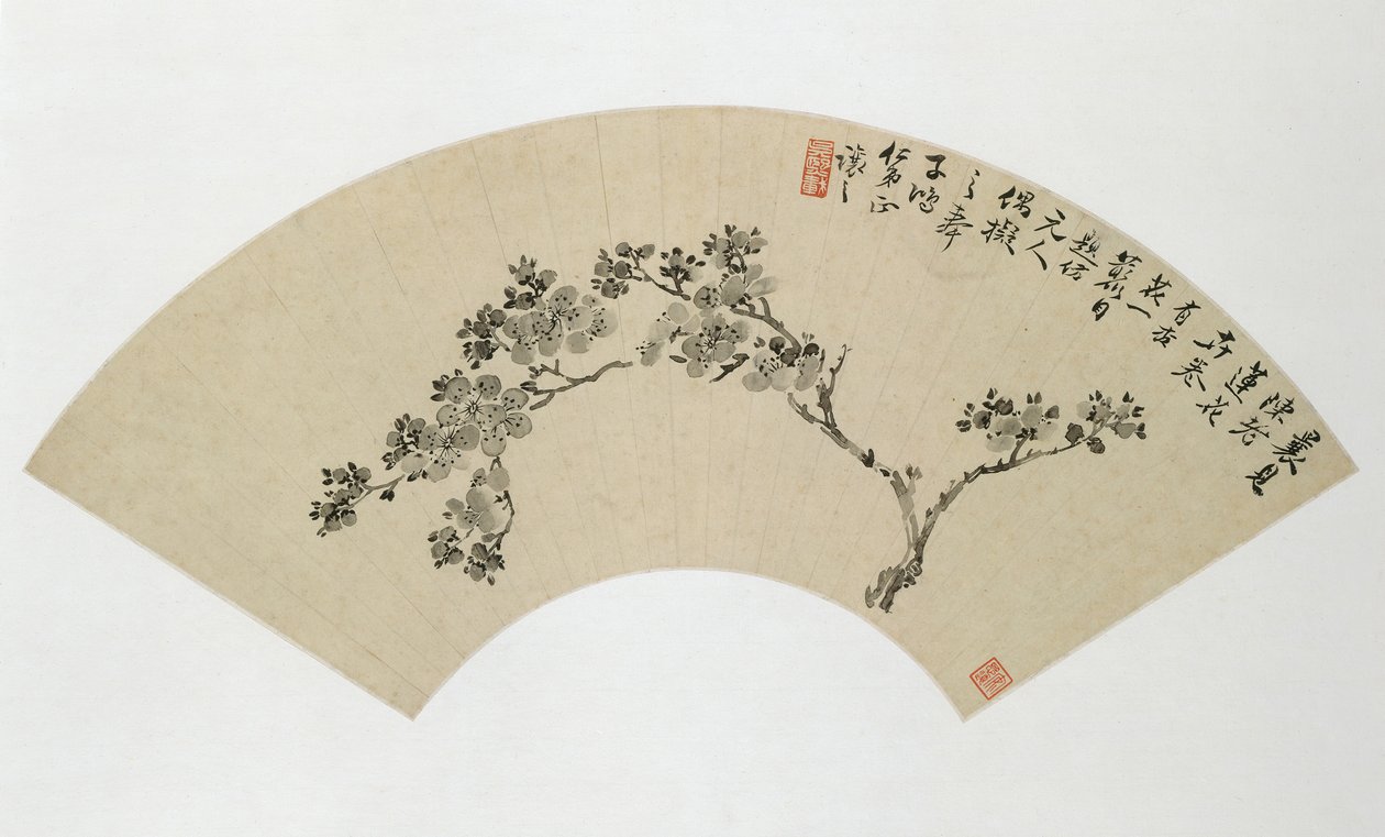 Meruňka, 19. století. od Wu Xizai