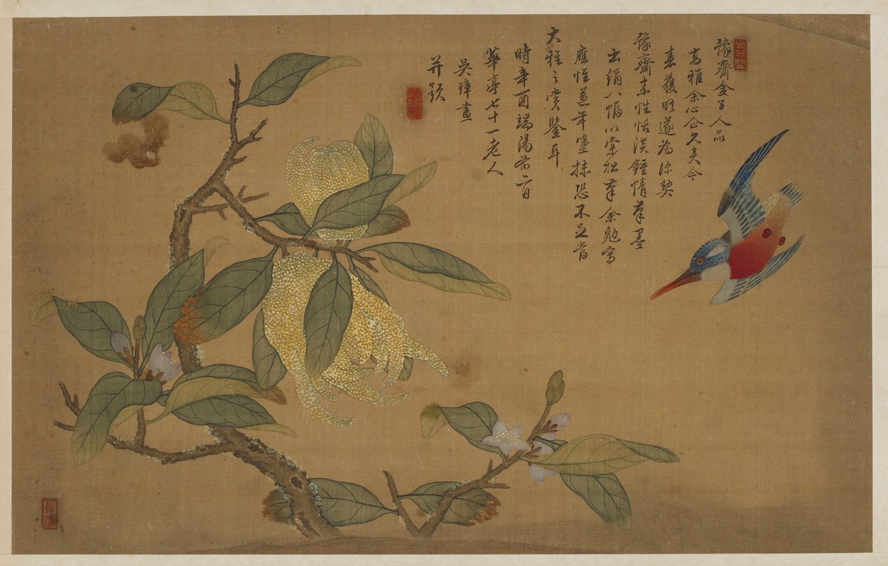 Pták, ovoce a květiny, dynastie Qing, 1741. od Wu Zhang