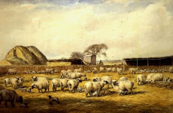 Lambing Pen, Hungerford od Wycliffe Egginton