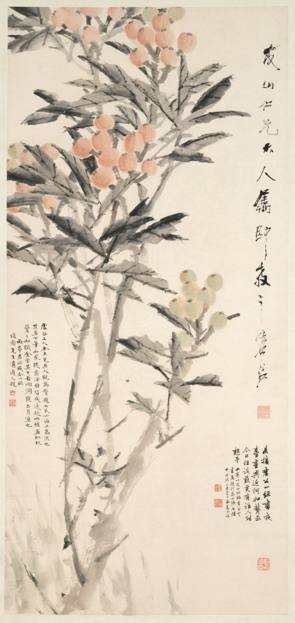 Pipa Loquats, c. 1888-89. od Xugu