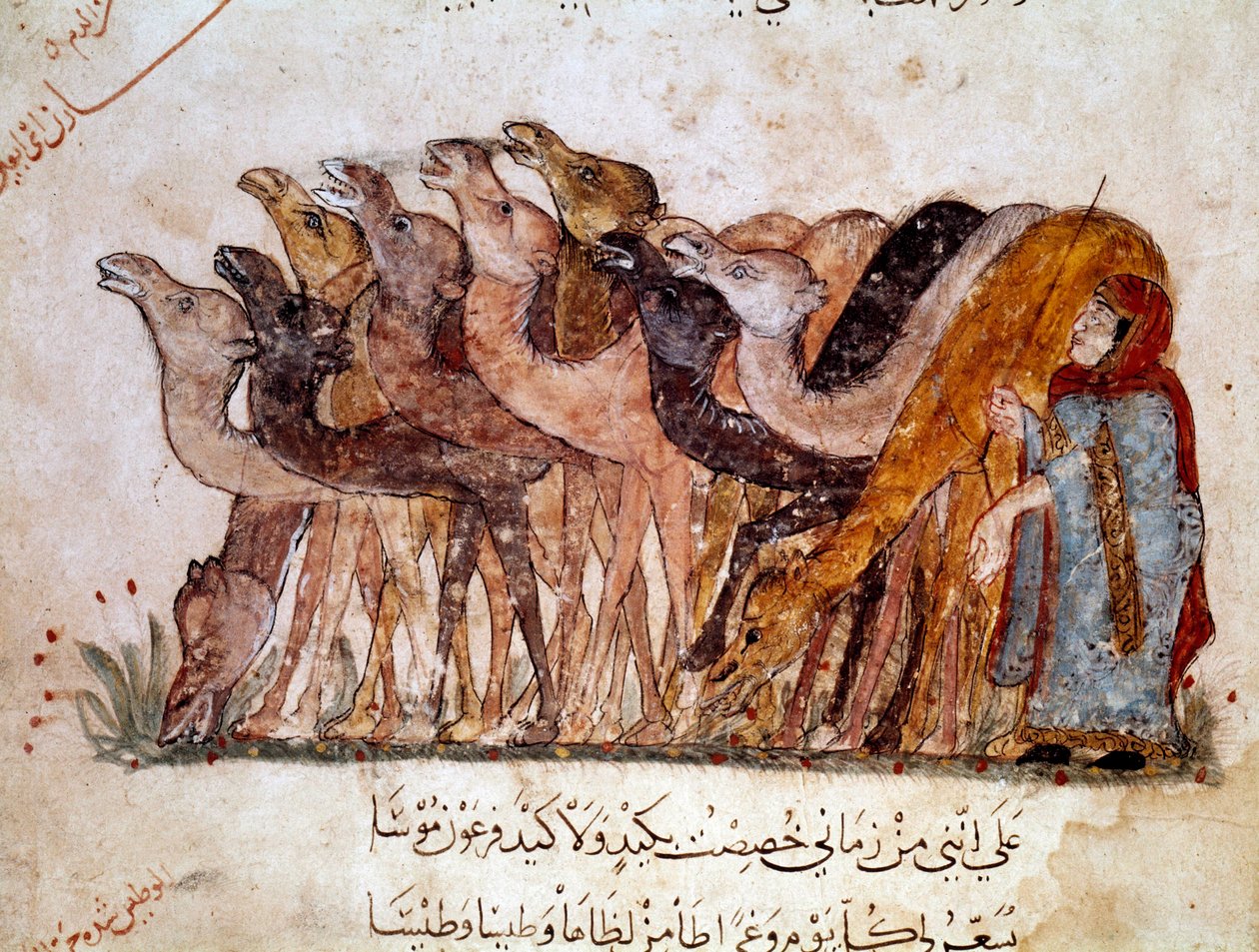 Skupina velbloudů a velblouda, karavana v poušti. Stránka „“ Maqamat“ (Seance), pikareskní báseň z 11. století od arabského básníka Abu Mohammeda al-Kasim ibn Ali Hariri (nebo Al-Hariri nebo Al Hariri) (1054-1122) ilustrovaná Al-Wasiti (al -Wasiti) od Yahya ibn Mahmud Al Wasiti