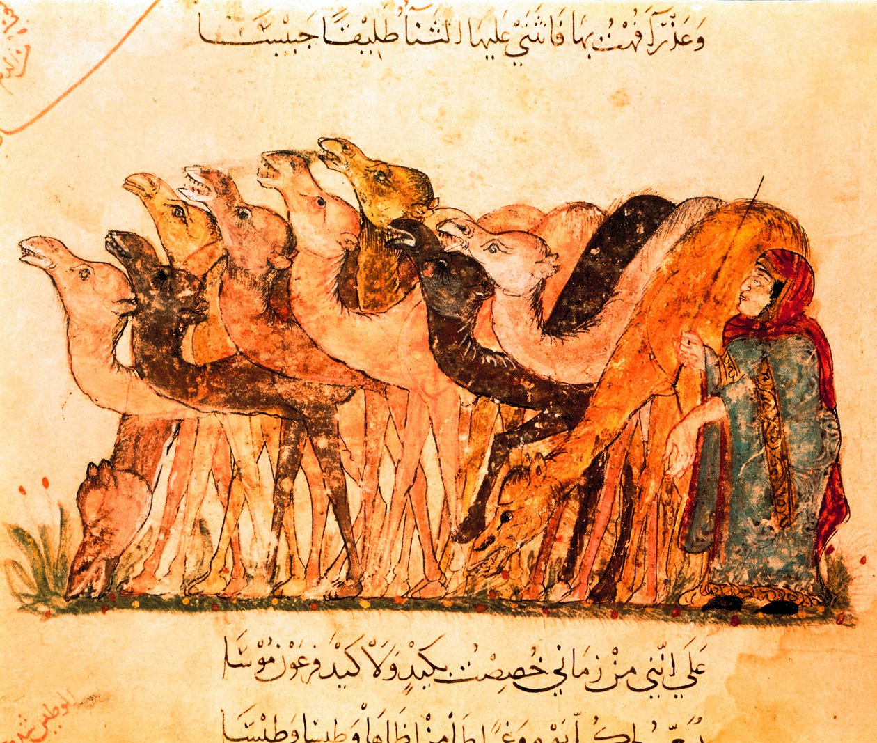 Skupina velbloudů a velbloudí pastýř z "Maqamat" od Yahya ibn Mahmud Al Wasiti
