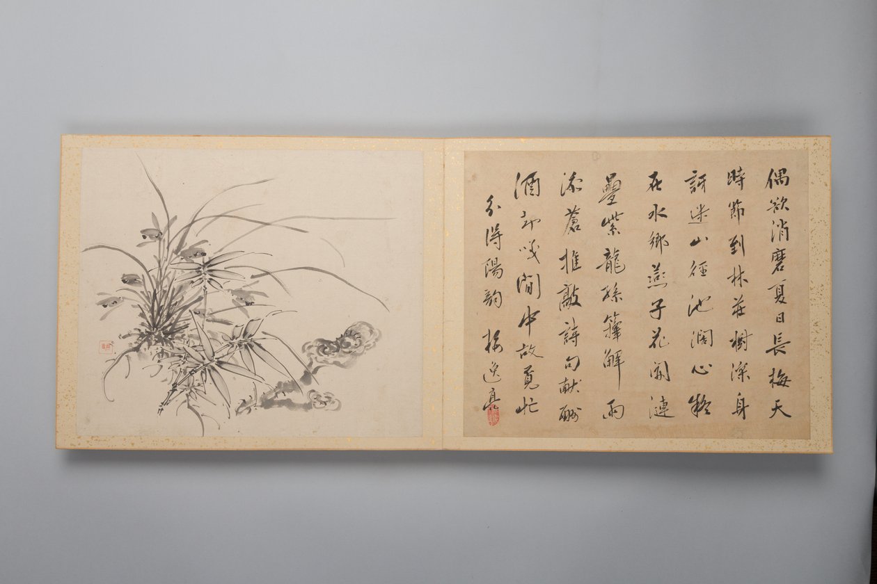 Rafinovaná elegance ve čtyřech ročních obdobích Shiji seiga, Album květinových maleb, 1844. od Yamamoto Baiitsu