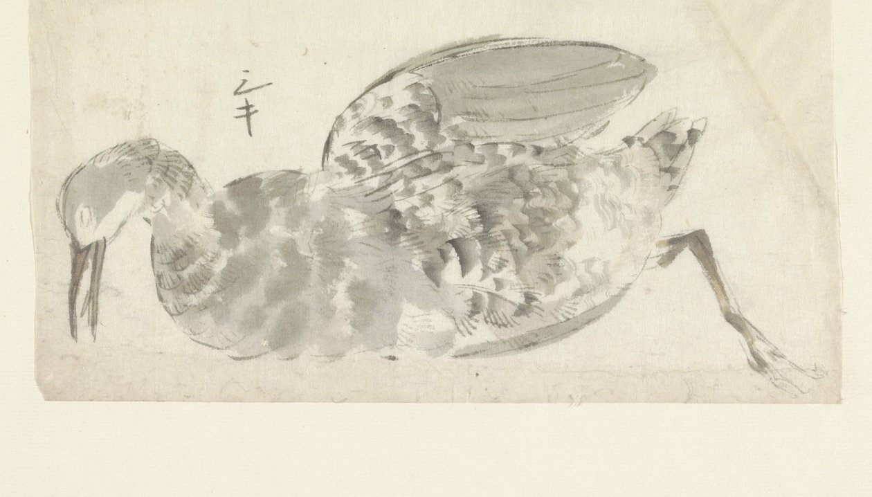 mrtvý vodní pták od Yamamoto Shinryo Baiitsu (possibly)