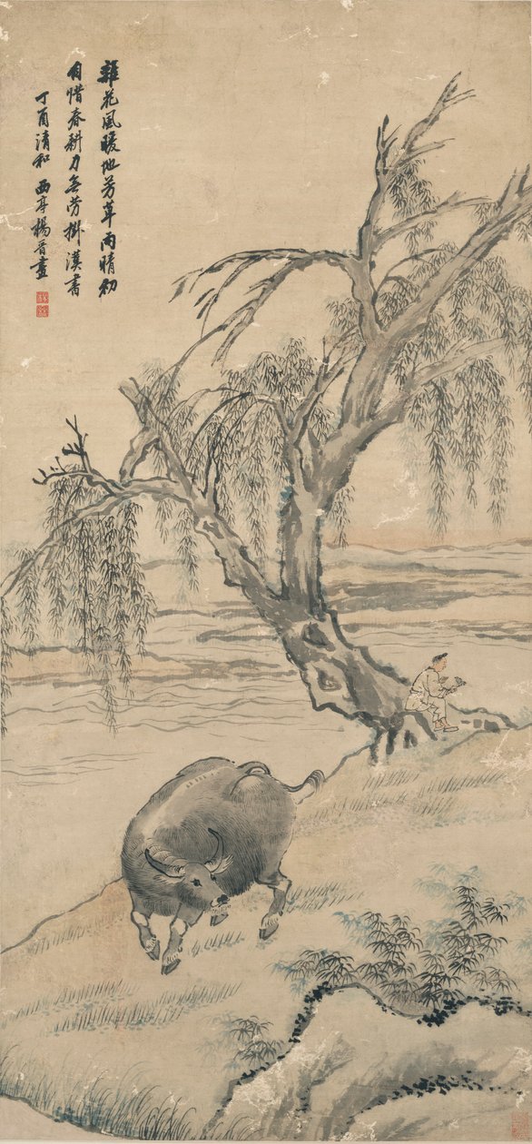 Buvol na Willow Bank od Yang Jin
