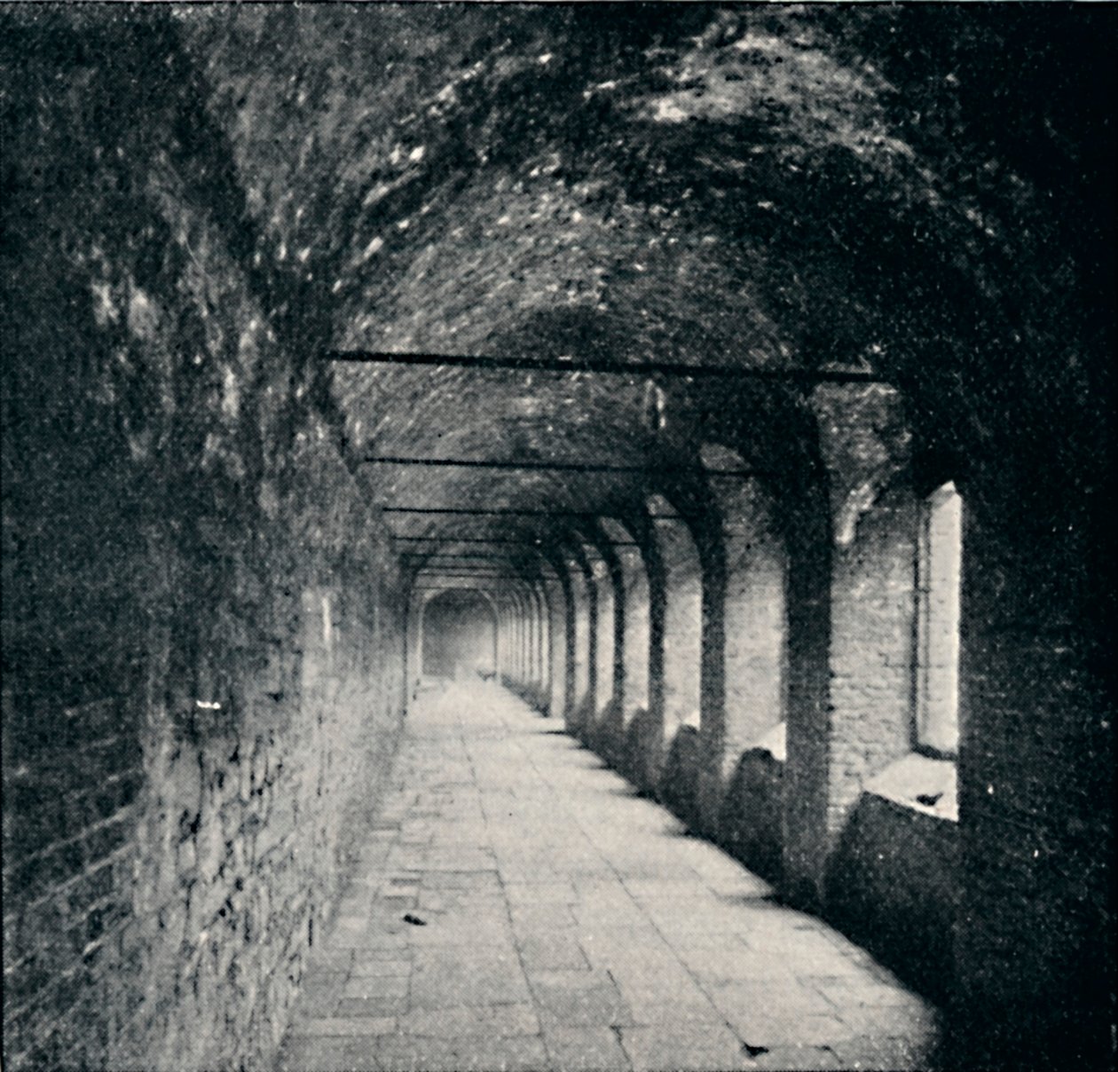 The Cloisters, Charterhouse, Londýn, 1903 od York and Son