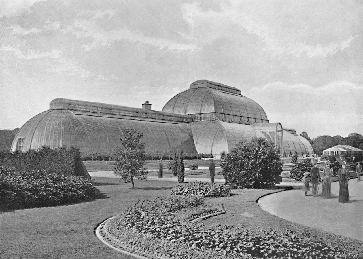 The Great Palm House, Kew Gardens, c1896 od York and Son
