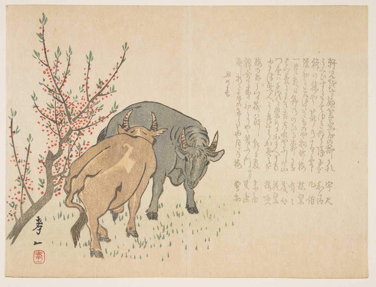 Oxen, leden 1853 (barevný dřevořez) od Yoshimura Kiitsu