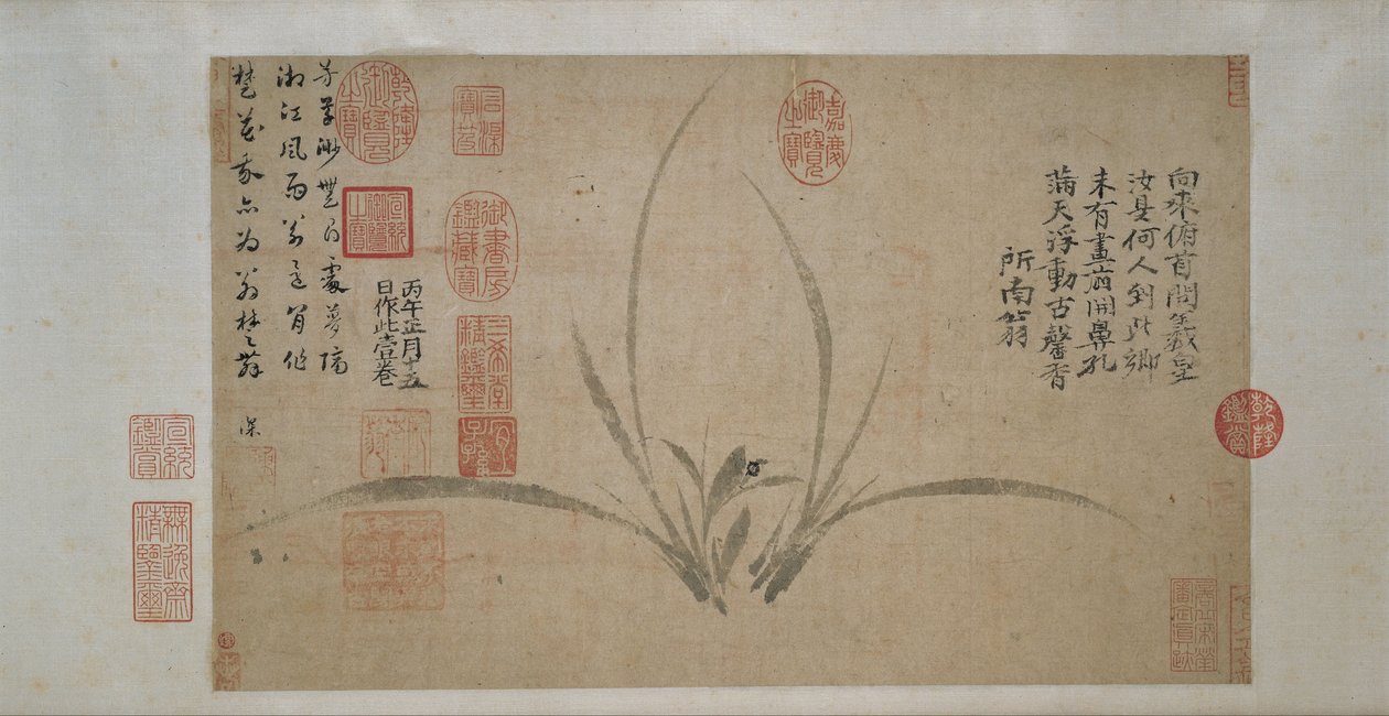 Orchidej od Zheng Sixiao