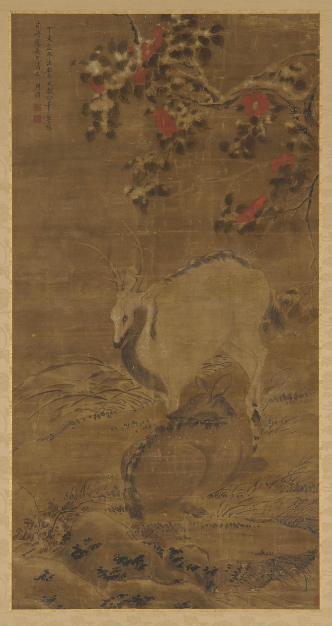 Jelen, laň a červené kamélie ve sněhu, 1367. od Zhou Yuan