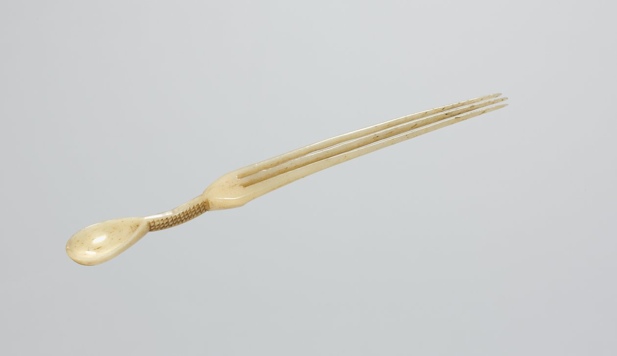 Šňupací lžíce/hřeben, konec 19. století (kost) od Zulu