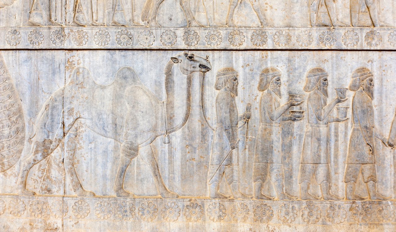 Starověký reliéf Achajmenovců; delegace Parthů s velbloudem; Palác Apadana; archeologické naleziště; starověké perské město Persepolis; světové dědictví UNESCO; provincie Fars; Írán; Asie od Frederick (attr. to) Barnard
