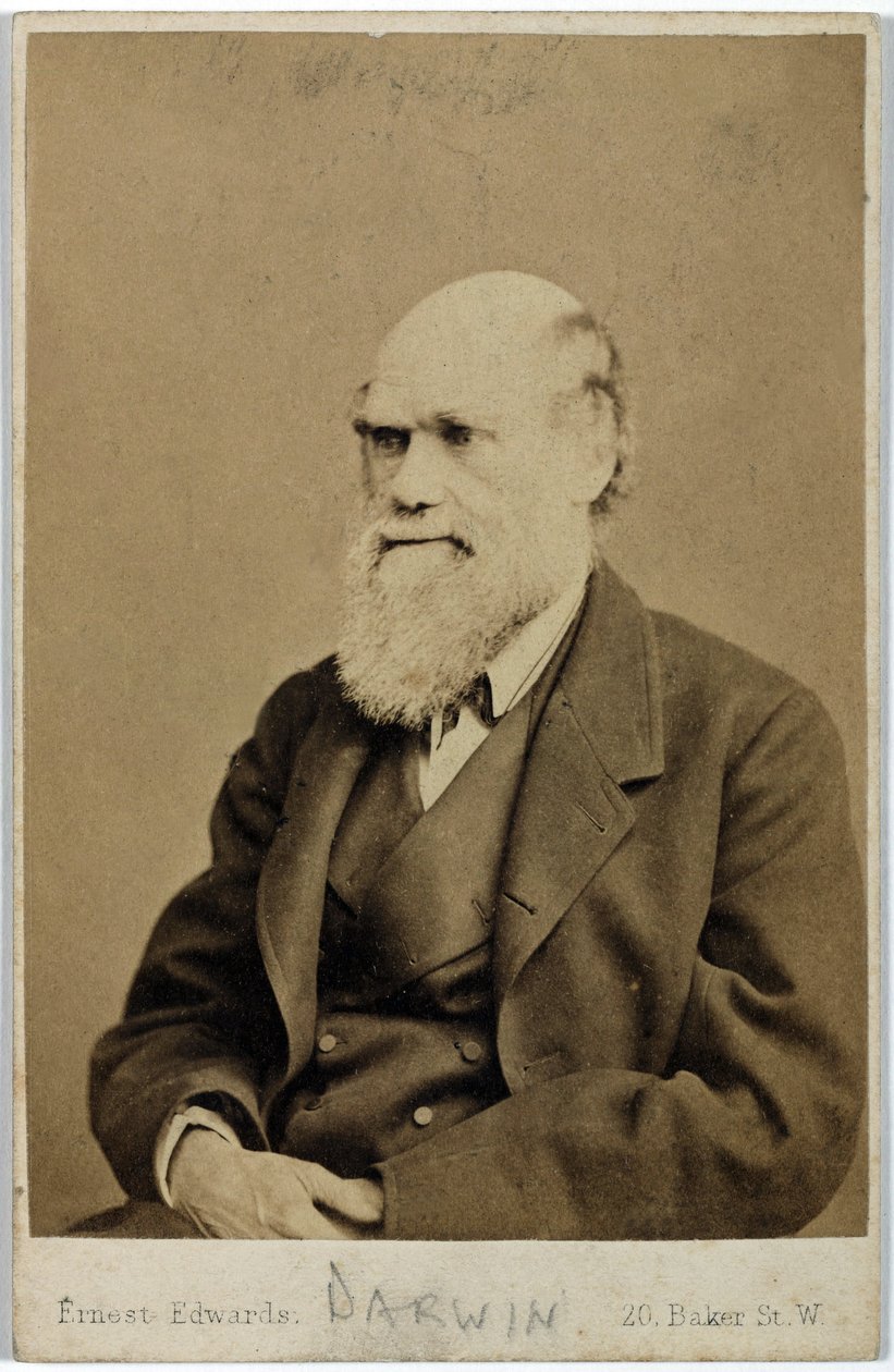 Charles Darwin, anglický přírodovědec, c 1870 od Ferdinand Georg Waldmuller