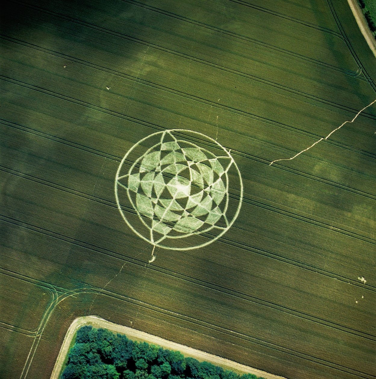 Kruh v obilí v pšeničném poli, Avebury Henge, Wiltshire, 22. června 2002 (letecký snímek) od Ferdinand Georg Waldmuller