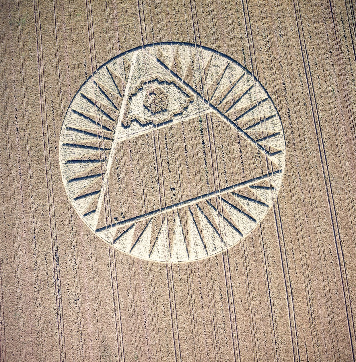 Kruh v obilí v pšeničném poli, Highclere, Hampshire, 21. července 2002 (letecký snímek) od Ferdinand Georg Waldmuller