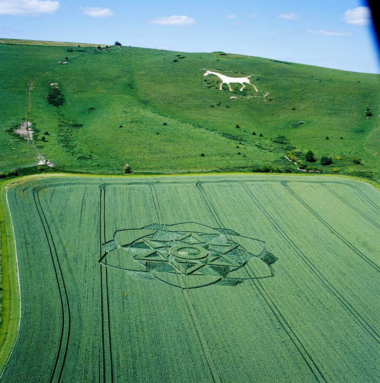 Kruh v obilí v pšeničné pole, Milk Hill, Alton Priors, Vale of Pewsey, Wiltshire od Ferdinand Georg Waldmuller