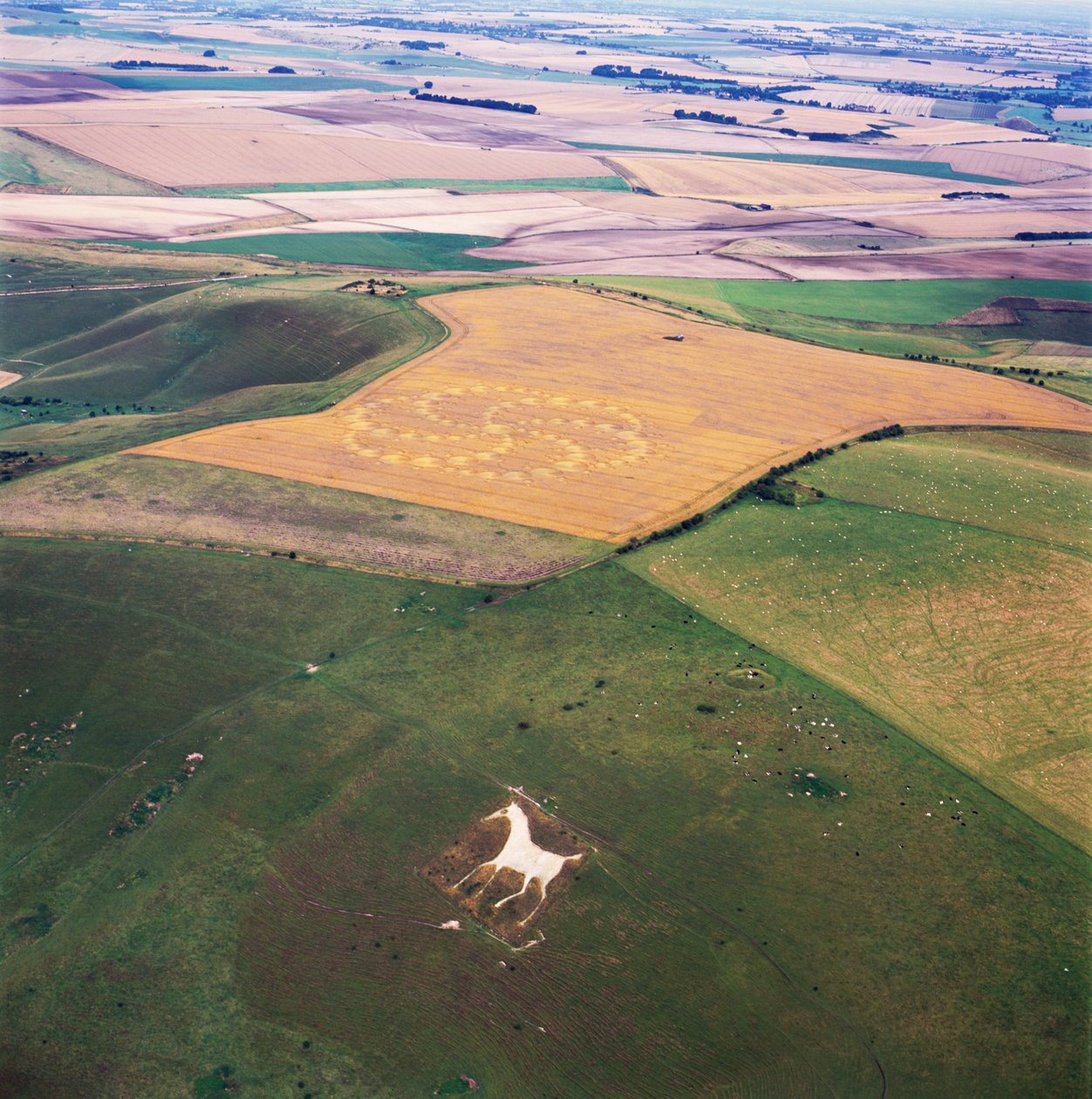 Kruh v obilí v pšeničné pole, Milk Hill, Alton Priors, Vale of Pewsey, Wiltshire od Ferdinand Georg Waldmuller