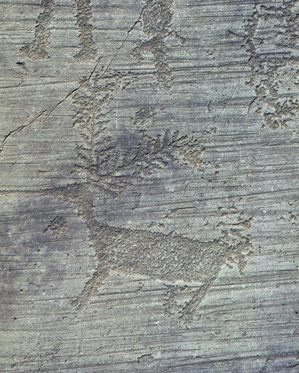 Itálie, Lombardie, údolí Camonica, petroglyfy na skále od Isabel Redie