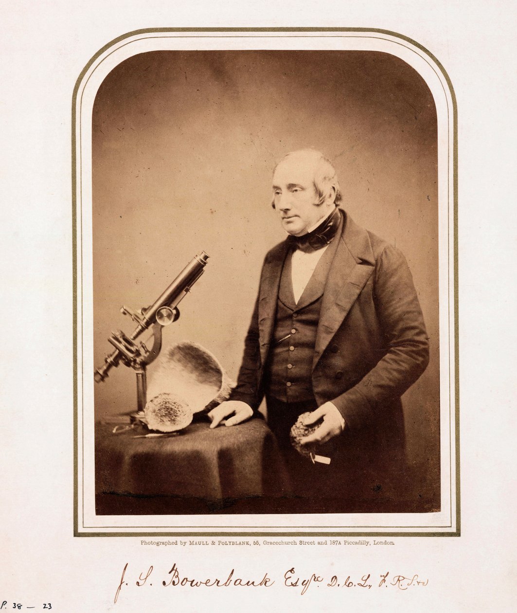 James Scott Bowerbank , britský geolog od Ferdinand Georg Waldmuller