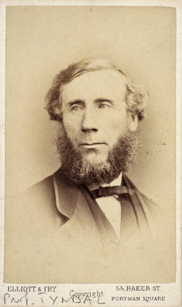 John Tyndall, irský fyzik, c 1875 od Frederick (attr. to) Barnard