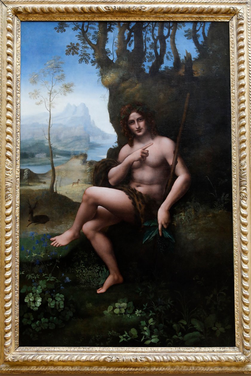 Muzeum Louvre, Paříž, Francie. Dílna Leonarda da Vinci, připsána Francescu Melzimu, svatému Janu Křtiteli, olej na panelu převedeno na plátno, c. 1510-1520. od . .