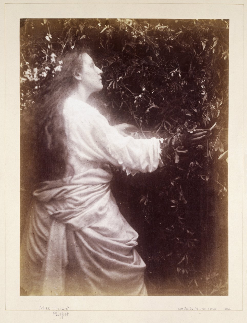 Mary Hillier, c 1865 od John Pardon