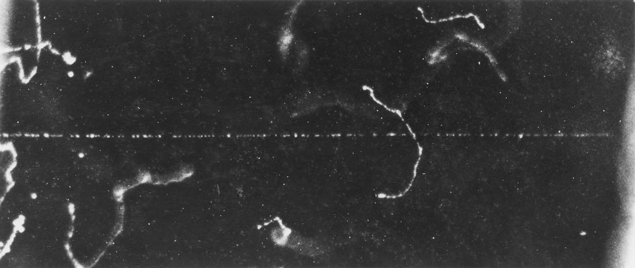 Particle Imaging, Cloud Chamber Dráha rychlého beta-paprsku, počátek 20. století od Ferdinand Georg Waldmuller