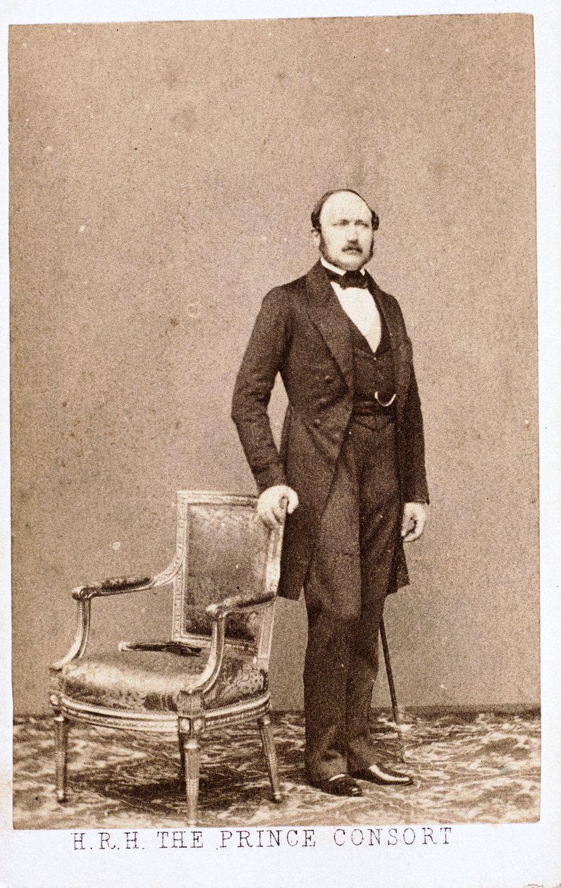 Princ Albert, choť královny Viktorie, c 1860 od Frederick (attr. to) Barnard