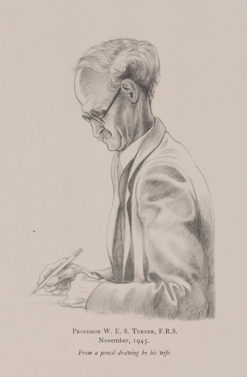 Profesor W E S Turner, listopad od Frederick (attr. to) Barnard