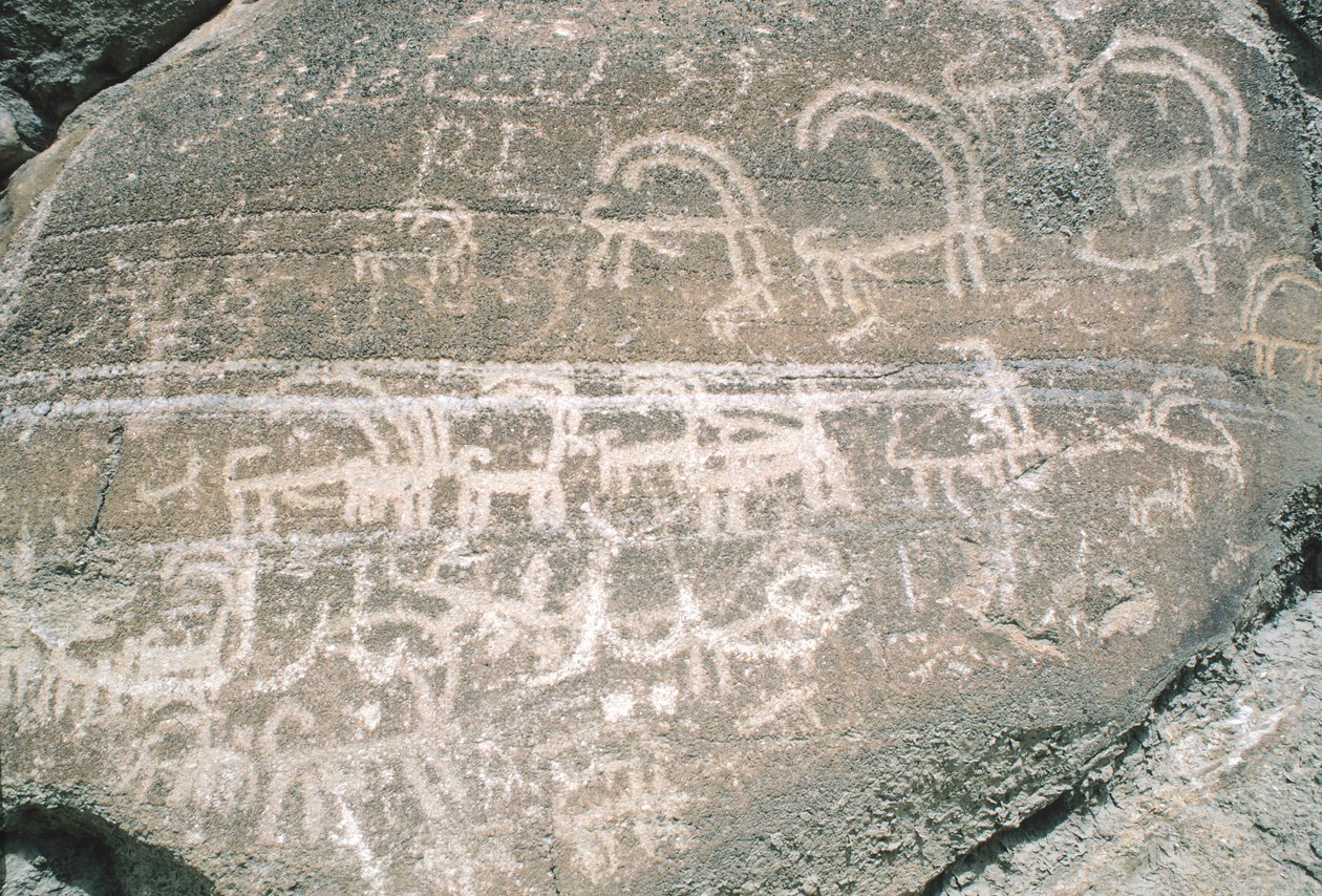 Skalní rytiny v údolí Hunza, poblíž archeologické oblasti Karimabad, Pákistán od Isabel Redie