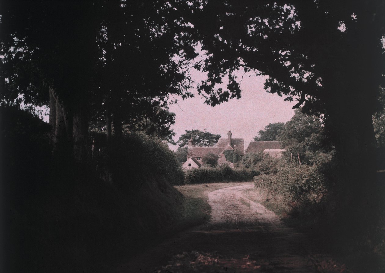 "Sen svatojánského" Fotografie od Arthura E Mortona, člena "The Society of Color Photographers", experimentoval s procesy a technikami rané barevné fotografie do počátku 20. od Frederick (attr. to) Barnard