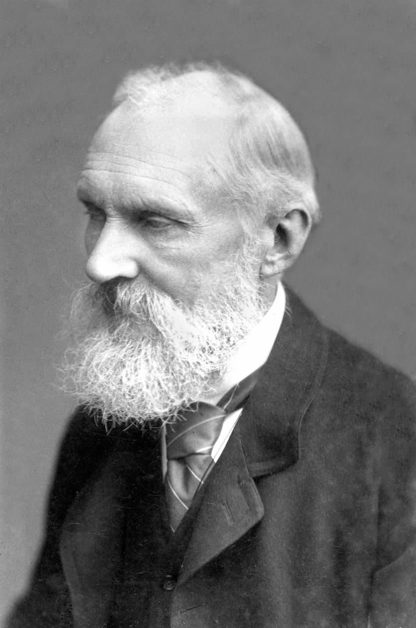 Spojené království : William Thomson Kelvin od Frederick (attr. to) Barnard